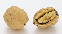 noyer_-_juglans_regia_-_pepiniere_alsace_vegetal_local_bio_-_noix