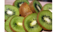 Kiwi ‘Bruno’- Actinidia deliciosa - Haie champetre  - Pepiniere Alsace - Vegetal Local Nord Est - Bio - Jardin forêt comestible - fruitier - permaculture