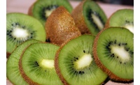 Kiwi ‘Bruno’- Actinidia deliciosa - Haie champetre  - Pepiniere Alsace - Vegetal Local Nord Est - Bio - Jardin forêt comestible - fruitier - permaculture