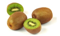 Kiwi ‘Hayward’ - Actinidia deliciosa - Haie champetre  - Pepiniere Alsace - Vegetal Local Nord Est - Bio - Jardin forêt comestible - fruitier - permaculture