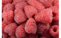 Framboisier 'Heritage' - Rubus idaeus - Haie champetre  - Pepiniere Alsace - Vegetal Local Nord Est - Bio - Jardin forêt comestible - fruitier - permaculture
