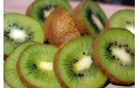 Kiwi ‘Bruno’- Actinidia deliciosa - Haie champetre  - Pepiniere Alsace - Vegetal Local Nord Est - Bio - Jardin forêt comestible - fruitier - permaculture