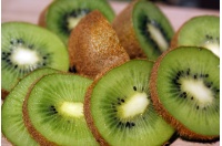 Kiwi ‘Bruno’- Actinidia deliciosa - Haie champetre  - Pepiniere Alsace - Vegetal Local Nord Est - Bio - Jardin forêt comestible - fruitier - permaculture