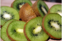 Kiwi ‘Bruno’- Actinidia deliciosa - Haie champetre  - Pepiniere Alsace - Vegetal Local Nord Est - Bio - Jardin forêt comestible - fruitier - permaculture