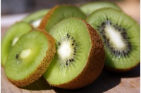 Kiwi ‘Jenny’ - Actinidia deliciosa - Haie champetre  - Pepiniere Alsace - Vegetal Local Nord Est - Bio - Jardin forêt comestible - fruitier - permaculture