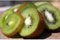 Kiwi ‘Jenny’ - Actinidia deliciosa - Haie champetre  - Pepiniere Alsace - Vegetal Local Nord Est - Bio - Jardin forêt comestible - fruitier - permaculture