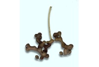 Raisinier de Chine – Arbre aux raisins secs - Hovenia dulcis - Haie champetre  - Pepiniere Alsace - Vegetal Local Nord Est - Bio - Jardin forêt comestible - fruitier - permaculture