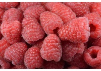 Framboisier 'Heritage' - Rubus idaeus - Haie champetre  - Pepiniere Alsace - Vegetal Local Nord Est - Bio - Jardin forêt comestible - fruitier - permaculture