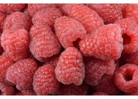 Framboisier 'Heritage' - Rubus idaeus - Haie champetre  - Pepiniere Alsace - Vegetal Local Nord Est - Bio - Jardin forêt comestible - fruitier - permaculture