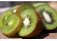 Kiwi ‘Jenny’ - Actinidia deliciosa - Haie champetre  - Pepiniere Alsace - Vegetal Local Nord Est - Bio - Jardin forêt comestible - fruitier - permaculture