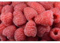 Framboisier 'Heritage' - Rubus idaeus - Haie champetre  - Pepiniere Alsace - Vegetal Local Nord Est - Bio - Jardin forêt comestible - fruitier - permaculture