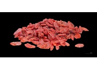 Goji - Lycium barbarum - Haie champetre  - Pepiniere Alsace - Vegetal Local Nord Est - Bio - Jardin forêt comestible - fruitier - permaculture