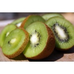 Kiwi ‘Jenny’ - Actinidia deliciosa - Haie champetre  - Pepiniere Alsace - Vegetal Local Nord Est - Bio - Jardin forêt comestible - fruitier - permaculture