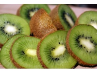 Kiwi ‘Bruno’- Actinidia deliciosa - Haie champetre  - Pepiniere Alsace - Vegetal Local Nord Est - Bio - Jardin forêt comestible - fruitier - permaculture