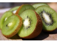 Kiwi ‘Jenny’ - Actinidia deliciosa - Haie champetre  - Pepiniere Alsace - Vegetal Local Nord Est - Bio - Jardin forêt comestible - fruitier - permaculture
