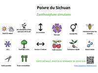 poivre_du_sichuan _ résumé