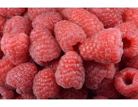 Framboisier 'Heritage' - Rubus idaeus - Haie champetre  - Pepiniere Alsace - Vegetal Local Nord Est - Bio - Jardin forêt comestible - fruitier - permaculture