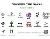 framboisier_fraise_japonais _ résumé