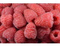 Framboisier 'Heritage' - Rubus idaeus - Haie champetre  - Pepiniere Alsace - Vegetal Local Nord Est - Bio - Jardin forêt comestible - fruitier - permaculture