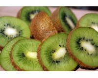 Kiwi ‘Bruno’- Actinidia deliciosa - Haie champetre  - Pepiniere Alsace - Vegetal Local Nord Est - Bio - Jardin forêt comestible - fruitier - permaculture