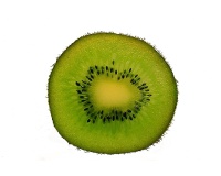 Kiwi ‘Solo’ - Actinidia deliciosa - Haie champetre  - Pepiniere Alsace - Vegetal Local Nord Est - Bio - Jardin forêt comestible - fruitier - permaculture