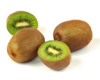 Kiwi ‘Hayward’ - Actinidia deliciosa - Haie champetre  - Pepiniere Alsace - Vegetal Local Nord Est - Bio - Jardin forêt comestible - fruitier - permaculture
