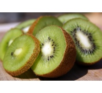 Kiwi ‘Jenny’ - Actinidia deliciosa - Haie champetre  - Pepiniere Alsace - Vegetal Local Nord Est - Bio - Jardin forêt comestible - fruitier - permaculture