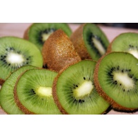 Kiwi ‘Bruno’- Actinidia deliciosa - Haie champetre  - Pepiniere Alsace - Vegetal Local Nord Est - Bio - Jardin forêt comestible - fruitier - permaculture