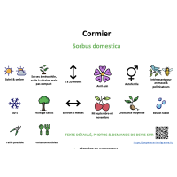 cormier_- résumé