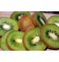 Kiwi ‘Bruno’- Actinidia deliciosa - Haie champetre  - Pepiniere Alsace - Vegetal Local Nord Est - Bio - Jardin forêt comestible - fruitier - permaculture
