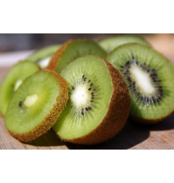 Kiwi ‘Jenny’ - Actinidia deliciosa - Haie champetre  - Pepiniere Alsace - Vegetal Local Nord Est - Bio - Jardin forêt comestible - fruitier - permaculture
