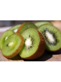 Kiwi ‘Jenny’ - Actinidia deliciosa - Haie champetre  - Pepiniere Alsace - Vegetal Local Nord Est - Bio - Jardin forêt comestible - fruitier - permaculture