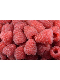 Framboisier 'Heritage' - Rubus idaeus - Haie champetre  - Pepiniere Alsace - Vegetal Local Nord Est - Bio - Jardin forêt comestible - fruitier - permaculture