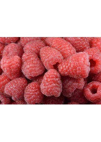 Framboisier 'Heritage' - Rubus idaeus - Haie champetre  - Pepiniere Alsace - Vegetal Local Nord Est - Bio - Jardin forêt comestible - fruitier - permaculture