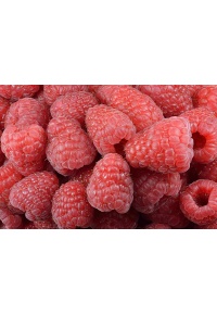 Framboisier 'Heritage' - Rubus idaeus - Haie champetre  - Pepiniere Alsace - Vegetal Local Nord Est - Bio - Jardin forêt comestible - fruitier - permaculture