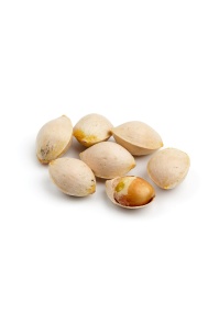 Ginkgo - Ginkgo biloba - Haie champetre  - Pepiniere Alsace - Vegetal Local Nord Est - Bio - Jardin forêt comestible - fruitier - permaculture