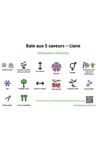 baie_aux_5_saveurs _ résumé