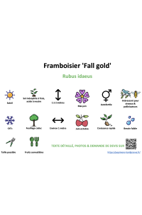 framboisier_fall_gold _ résumé
