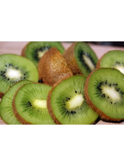 Kiwi ‘Bruno’- Actinidia deliciosa - Haie champetre  - Pepiniere Alsace - Vegetal Local Nord Est - Bio - Jardin forêt comestible - fruitier - permaculture