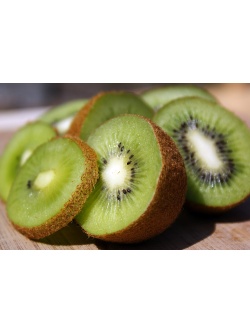 Kiwi ‘Jenny’ - Actinidia deliciosa - Haie champetre  - Pepiniere Alsace - Vegetal Local Nord Est - Bio - Jardin forêt comestible - fruitier - permaculture