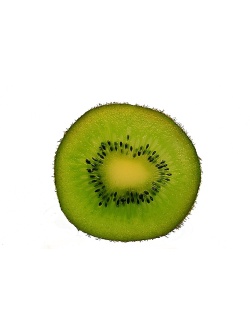 Kiwi ‘Solo’ - Actinidia deliciosa - Haie champetre  - Pepiniere Alsace - Vegetal Local Nord Est - Bio - Jardin forêt comestible - fruitier - permaculture