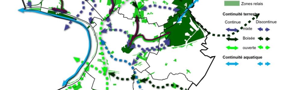 Trame Verte et Bleue