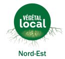 Voir les espèces marquées Végétal Local Nord Est