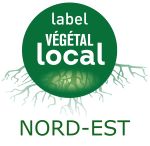Voir les espèces marquées Végétal Local Nord Est