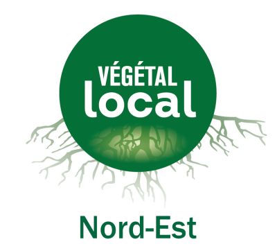Voir les espèces marquées Vegetal Local Nord Est